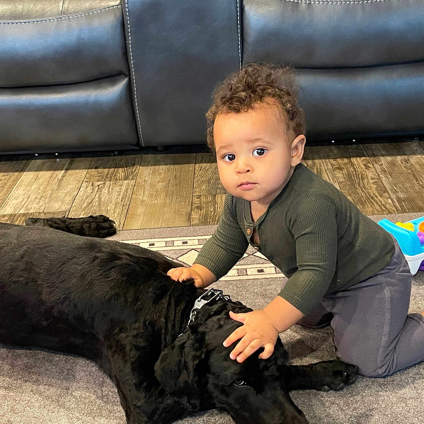 Ivan is registered to the contest to win money with this photo: animal, architecture, boy, building, canine, child, clothing, couch, dog, face, furniture, head, indoors, male, pants, person, pet, photography, portrait, sitting