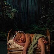 Blesslyn is registered to the contest to win money with this photo: newborn, baby, sleeping, flower_crown, bed, blanket, green_cloth, infant, peaceful, portrait, wooden_bed, dark_background, forest_theme, cozy, cute, resting, soft_lighting, indoor, child, toddler