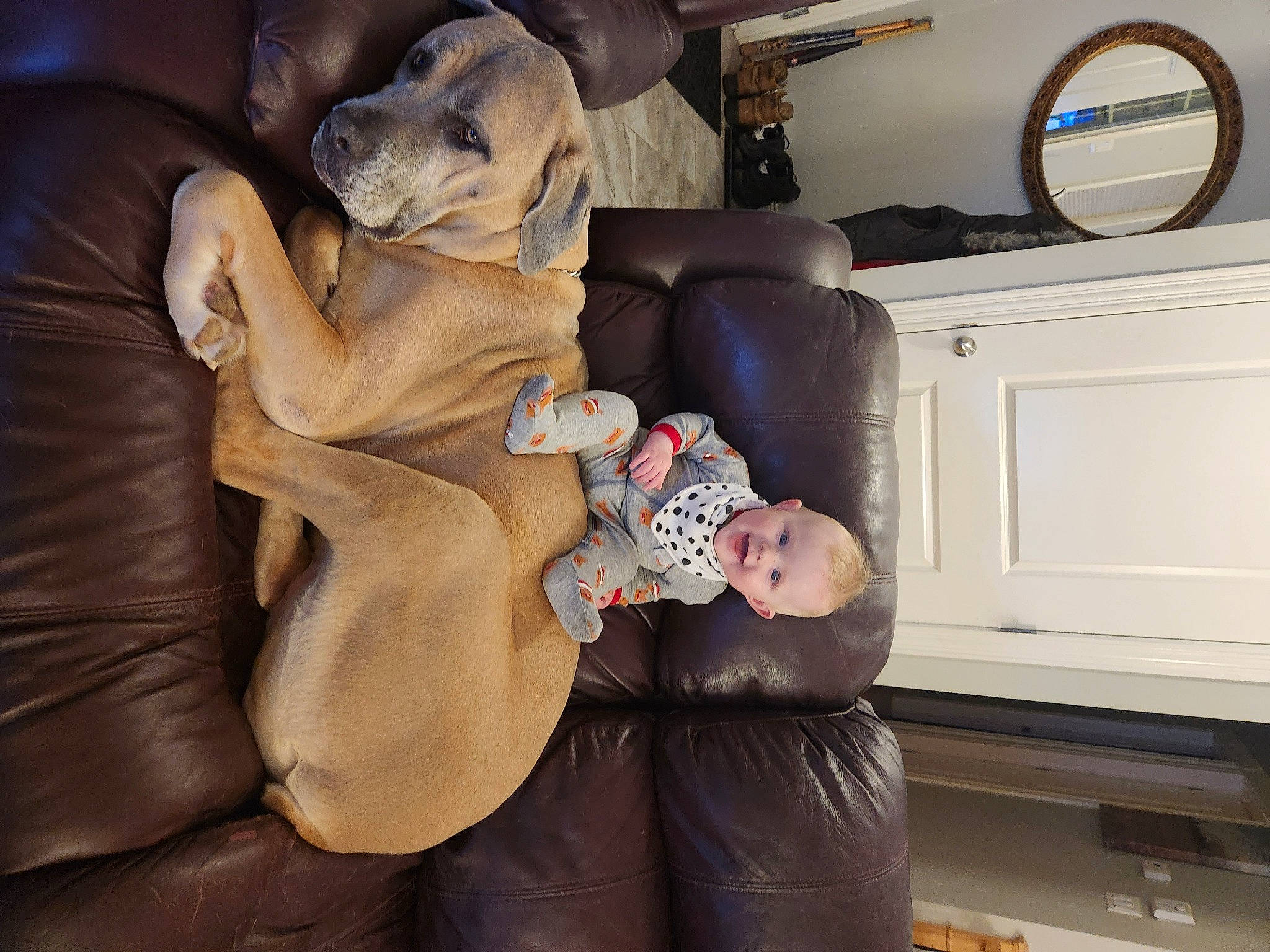 Cayden is registered to the contest to win money with this photo: auto_part, baby, car_seat, child, comfort, couch, fun, fur, hat, home_appliance, lap, living_room, luxury_vehicle, mirror, person, room, sitting, toddler