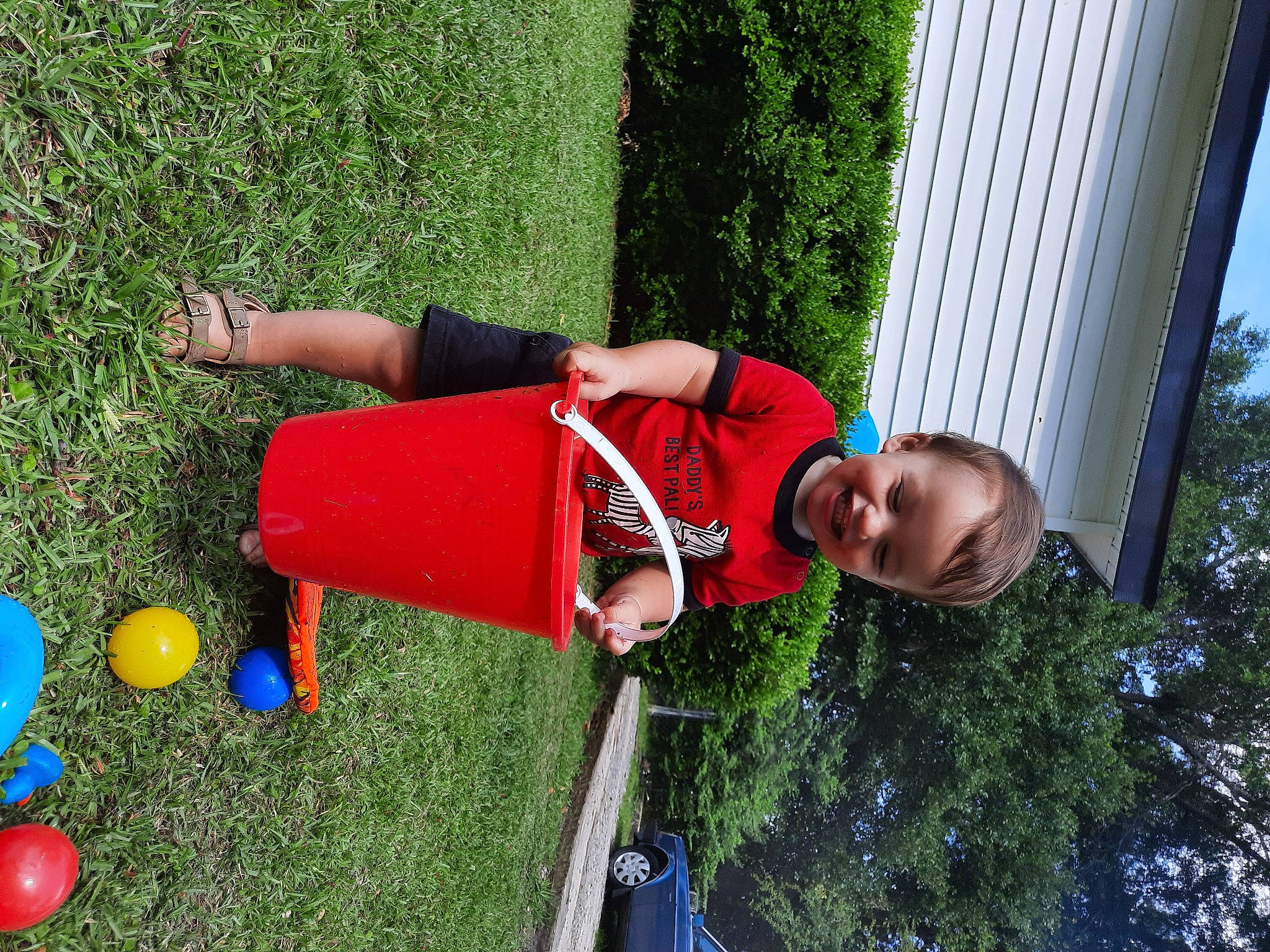 Braedyn is registered to the contest to win money with this photo: balance, balloon, child, elbow, electric_blue, fun, grass, joy, leisure, people_in_nature, person, plant, recreation, shorts, sky, smile, t_shirt, toddler, toy, tree