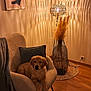 Artchie participe au concours pour gagner de l'argent avec cette photo : dog, puppy, golden_retriever, armchair, living_room, lamp, warm_lighting, vase, pampas_grass, rug, wooden_floor, decor, cozy, interior, cushion, blanket, artwork, wall, furniture, relaxing
