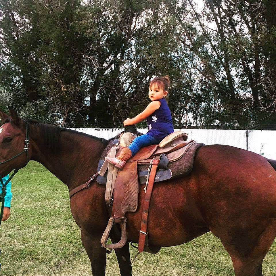 Kenzley is registered to the contest to win money with this photo: animal_sports, bridle, cool, equestrian_sport, equestrian_vaulting, equestrianism, halter, horse, horse_supplies, horse_tack, mammal, mane, mare, pack_animal, person, recreation, rein, saddle, stallion, vertebrate