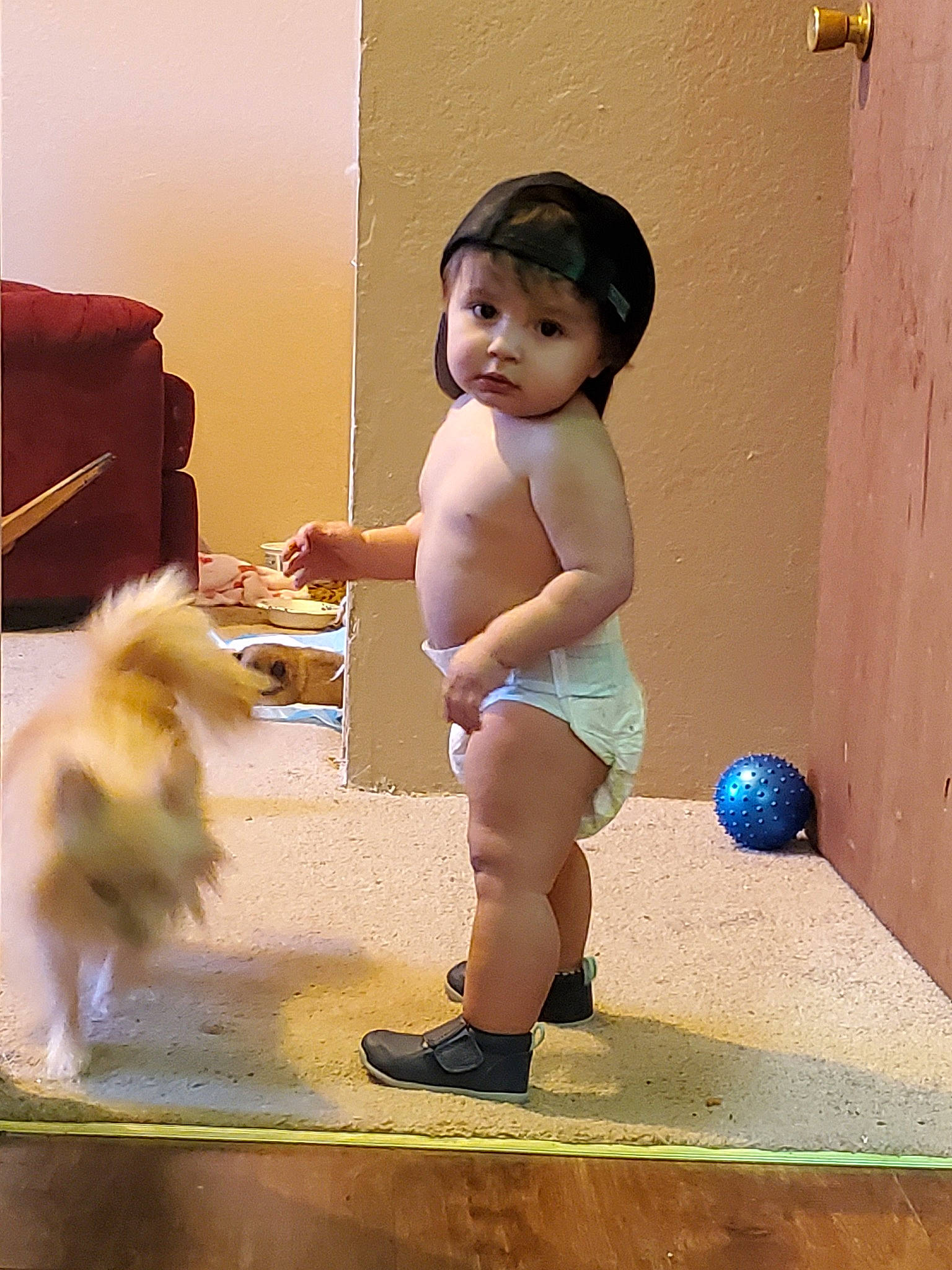 Kelson is registered to the contest to win money with this photo: abdomen, canidae, child, headwear, person, toddler