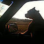 Biscuit Nicole is registered to the contest to win money with this photo: dog, silhouette, car_window, side_mirror, road, countryside, landscape, sunset, profile, passenger, travel, adventure, view, outdoors, animal, paw, reflection, journey, scenic, driving