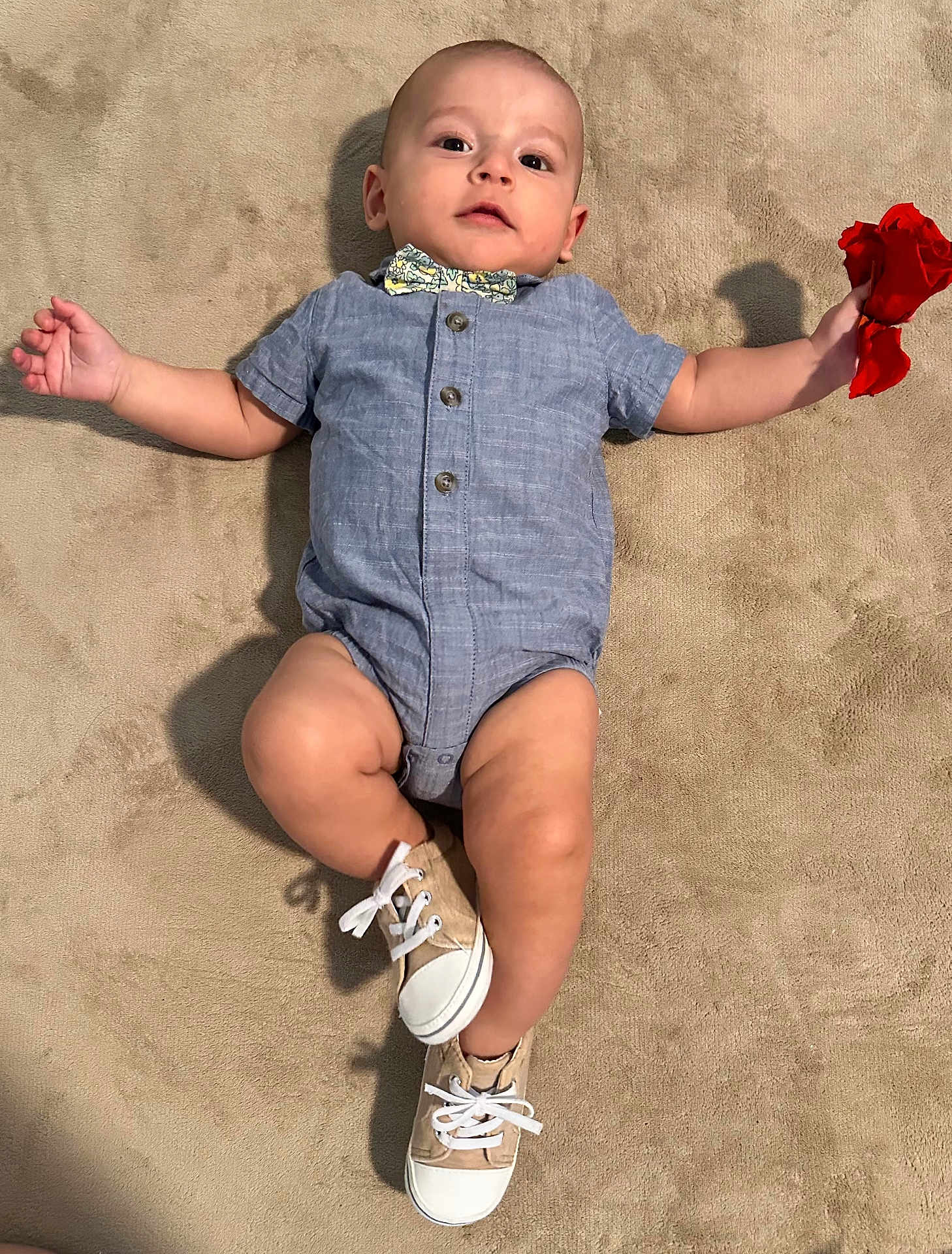 Thiag joined the competition — help win amazing prizes! baby, infant, child, romper, bow_tie, carpet, floor, rose_petals, hand, face, eyes, shoes, footwear, cute, lying_down, indoor, skin, expression, small_toys, young