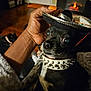 dog, small_dog, sombrero, hat, hand, nail_polish, orange_nails, collar, studs, indoor, fireplace, wood_floor, furniture, pet, animal, black_dog, cute, cozy, resting, background
