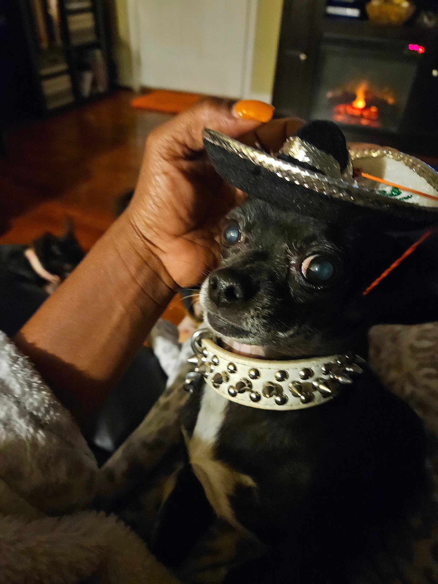 Poco Lil Duke joined the competition — help win amazing prizes! dog, small_dog, sombrero, hat, hand, nail_polish, orange_nails, collar, studs, indoor, fireplace, wood_floor, furniture, pet, animal, black_dog, cute, cozy, resting, background
