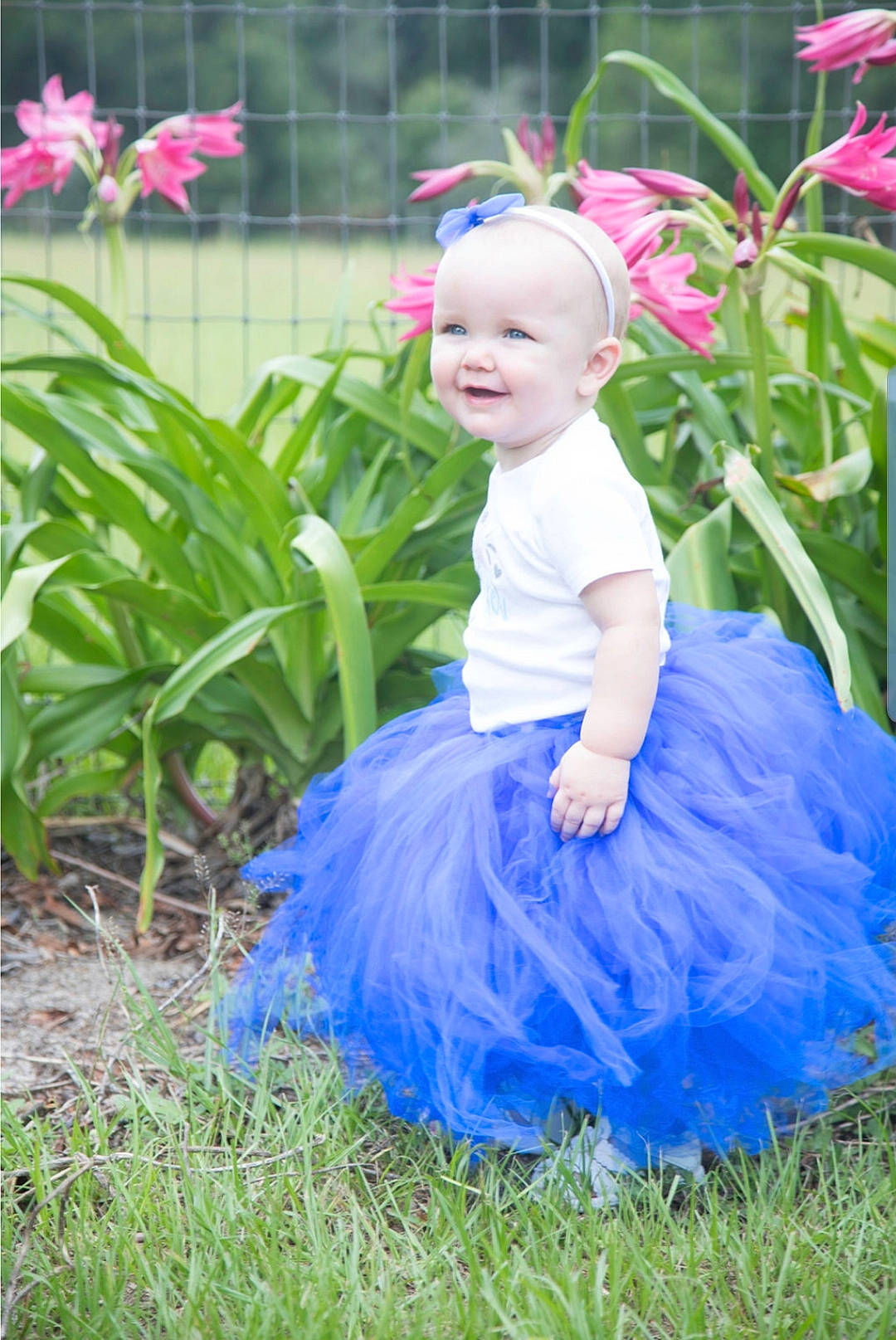 Eilidh is registered to the contest to win money with this photo: baby_toddler_clothing, ballet_tutu, blue, child, clothing, costume, dress, electric_blue, flower, grass, joy, lavender, person, petal, pink, plant, purple, toddler