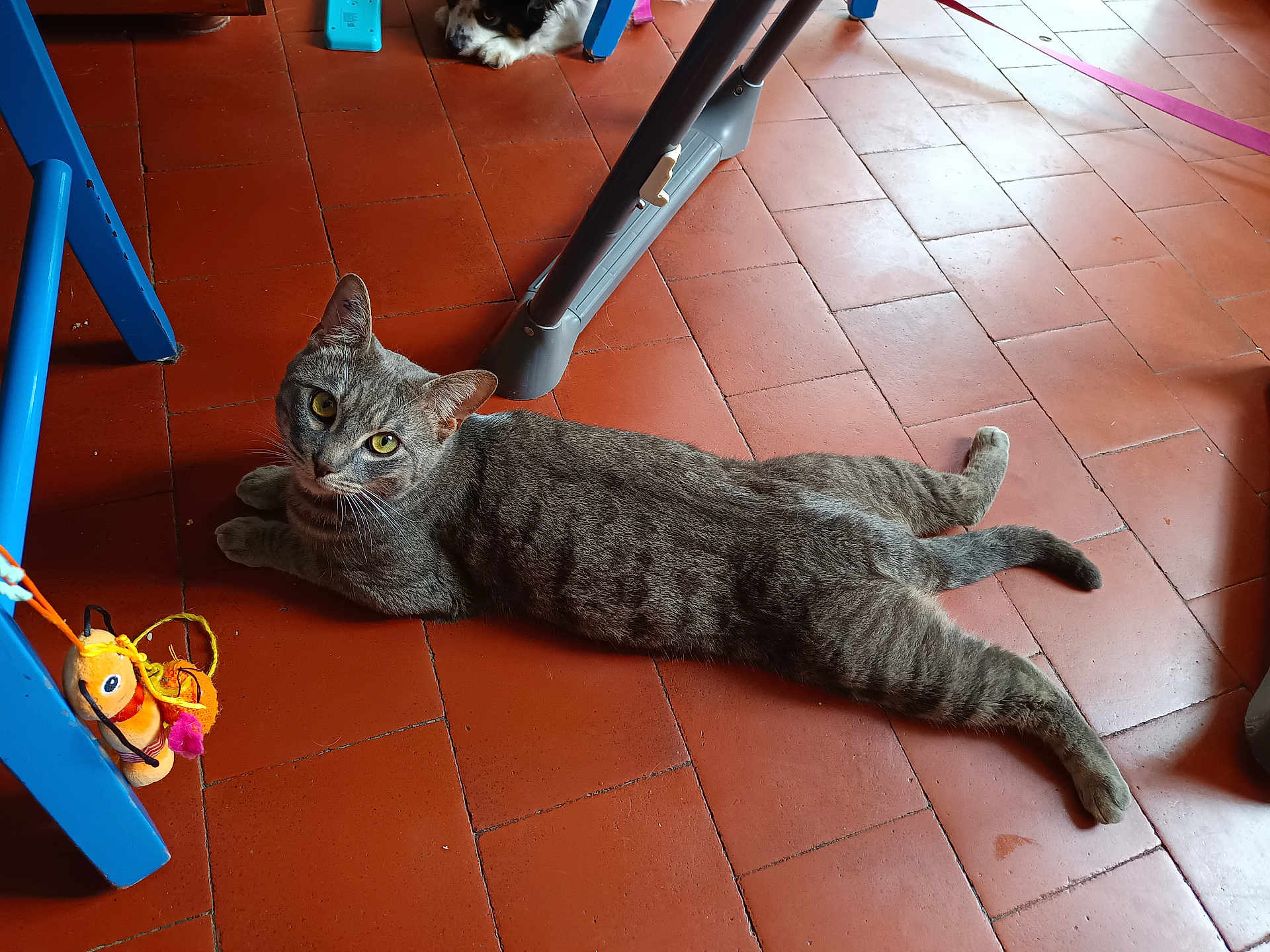 Tigrou