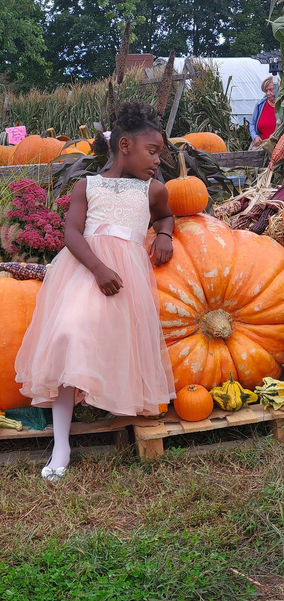 Leilani joined the competition — help win amazing prizes! calabaza, cucurbita, dress, gourd, grass, happy, human_leg, local_food, natural_foods, orange, people_in_nature, person, petal, plant, pumpkin, squash, toddler, tree, vegetable, whole_food