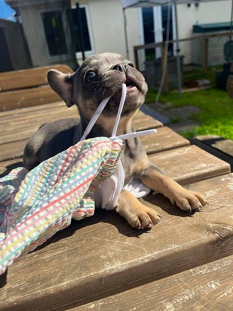 Marnie