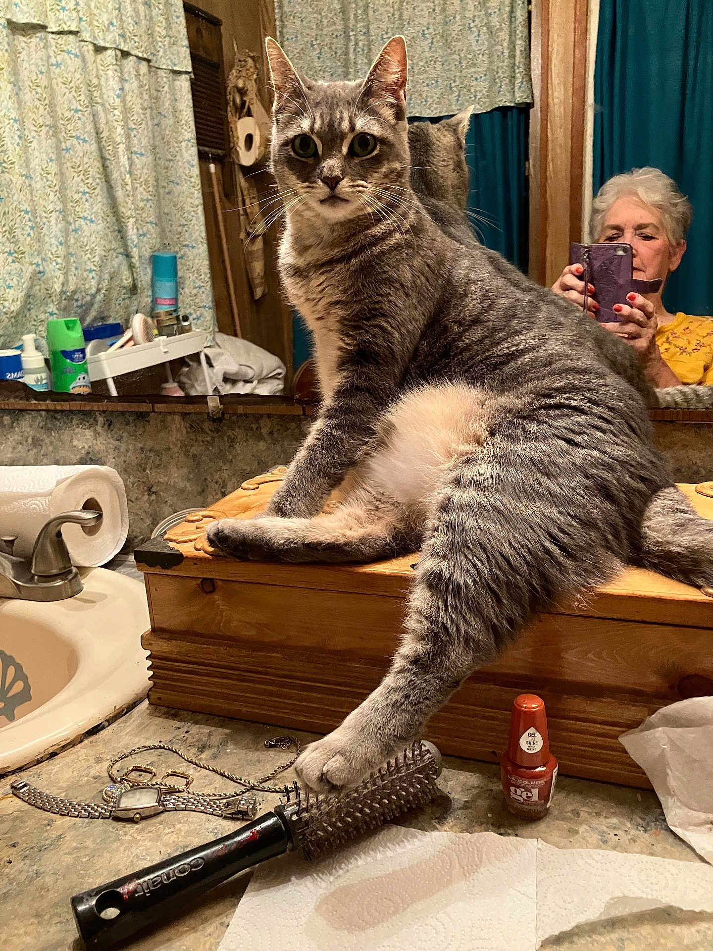 Heidi