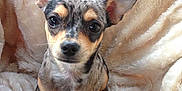 Lola-ann participe au concours pour gagner de l'argent avec cette photo :