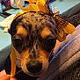 Lola-ann participe au concours pour gagner de l'argent avec cette photo :