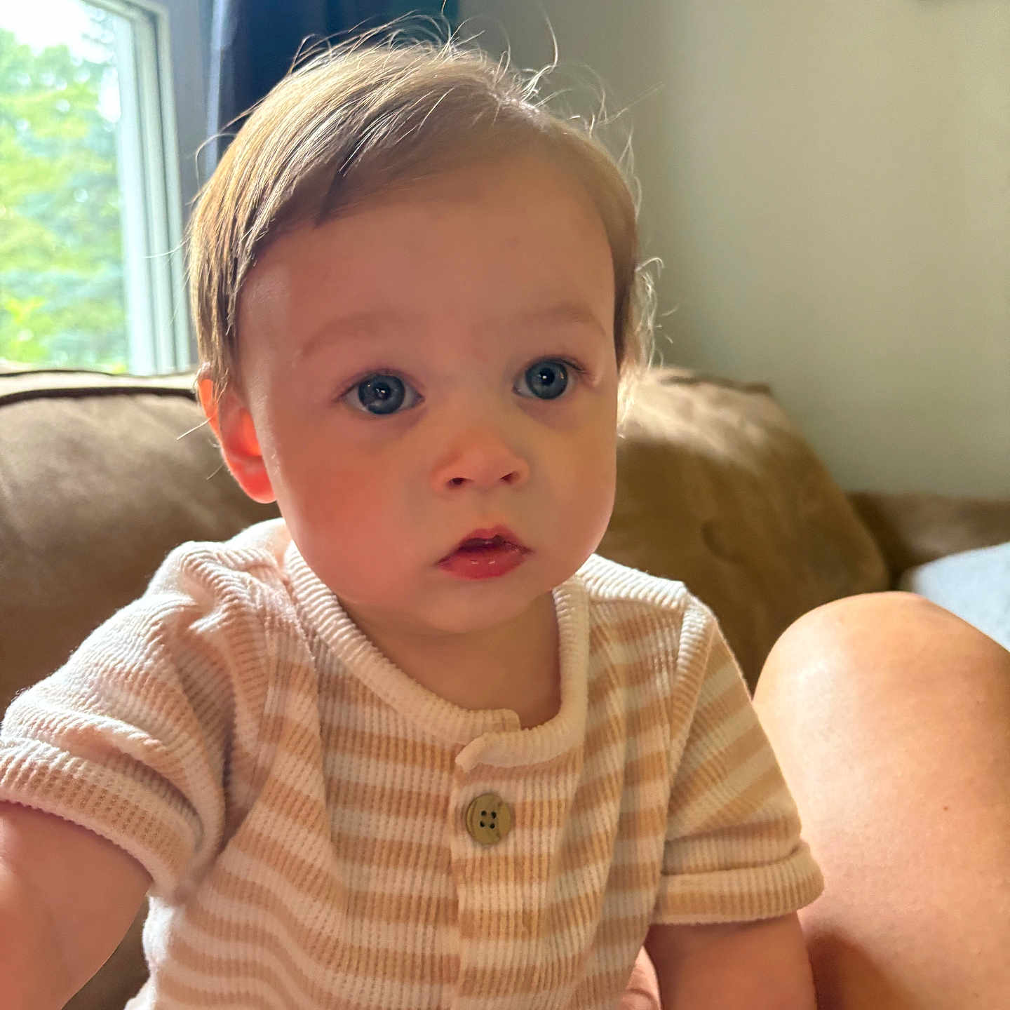 Frankie is registered to the contest to win money with this photo: blue_eyes, buttoned_shirt, child, couch, cozy, curious, face, hair, home, indoor, natural_light, person, portrait, seated, skin, soft_light, striped_clothing, toddler, window, young_child