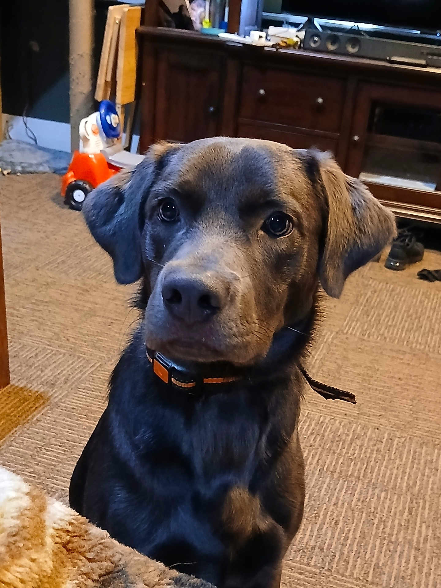 Sam