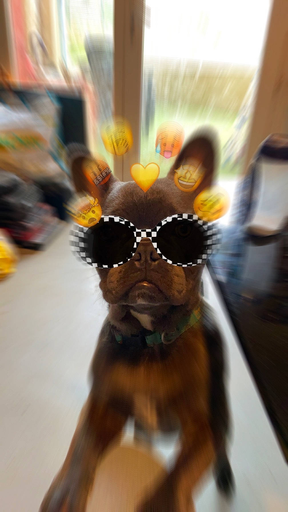 Tiger a rejoint le concours — aidez-le/la à gagner de superbes lots ! art, carnivore, companion_dog, dog, dog_breed, dog_collar, eyewear, fashion_accessory, fawn, felidae, fur, leash, liver, personal_protective_equipment, snout, sunglasses, tail, vision_care, whiskers, working_animal