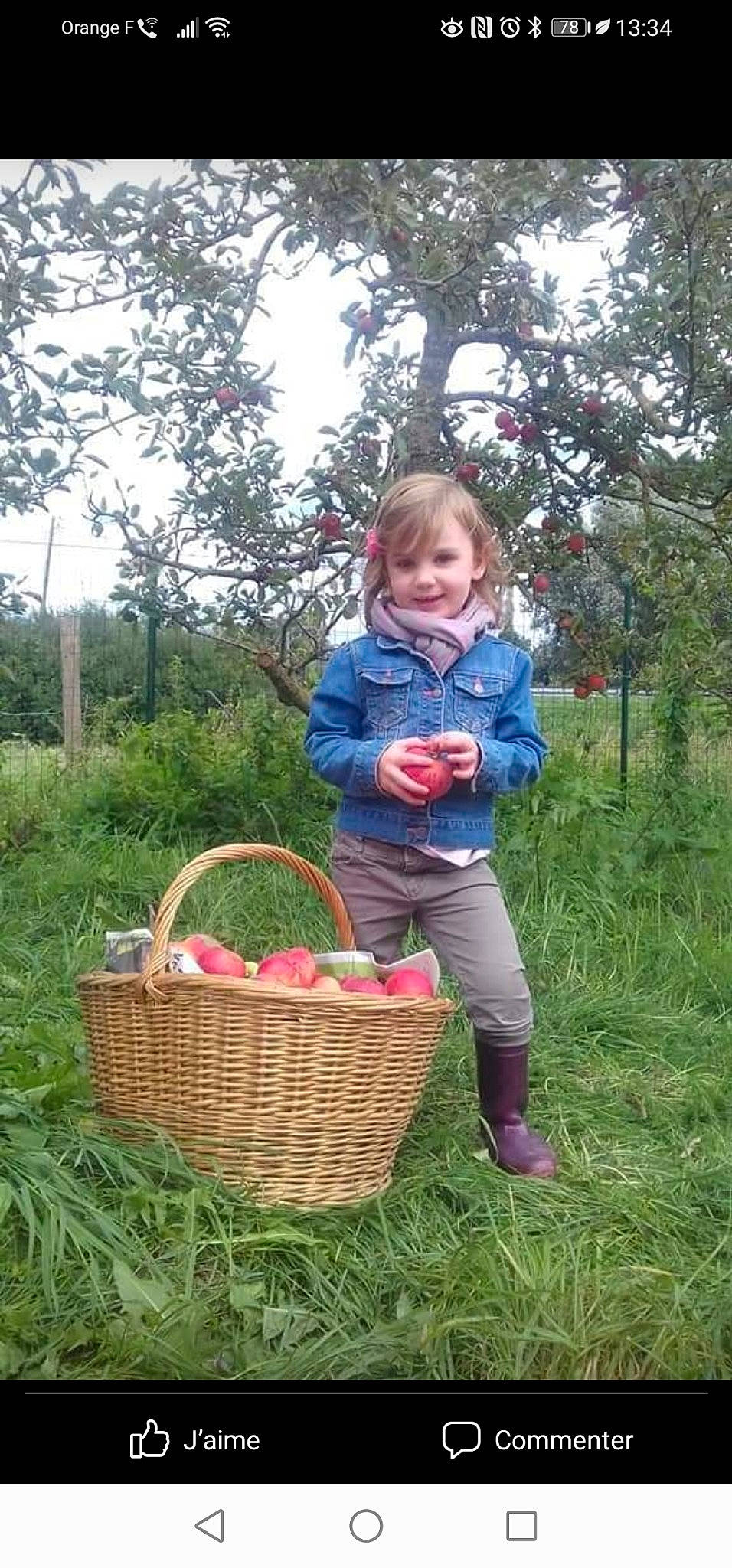Camille participe au concours pour gagner de l'argent avec cette photo : baby_toddler_clothing, basket, child, event, flower_girl_basket, fun, grass, happy, joy, people_in_nature, person, photograph, picnic_basket, plant, recreation, sky, smile, storage_basket, tire, toddler