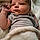 Colton