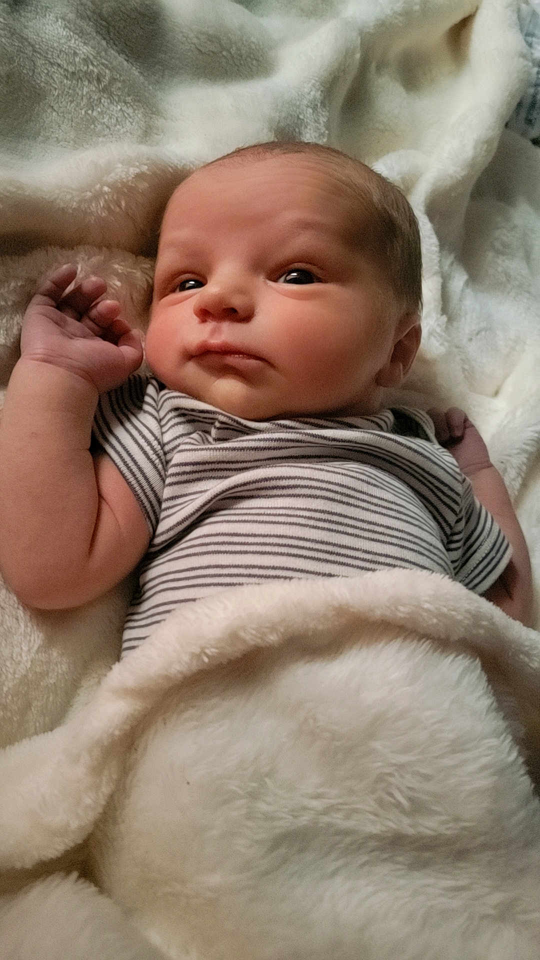 Colton