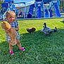 Elly May joined the competition — help win amazing prizes! toddler, child, teddy_bear, grass, ducks, playground, slide, swing, outdoor, blue_sky, sunny_day, toy, shoes, dress, park, nature, animal, people, fun, play