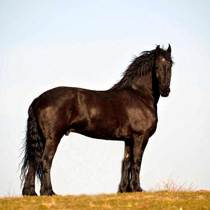 Bearry joined the competition — help win amazing prizes!