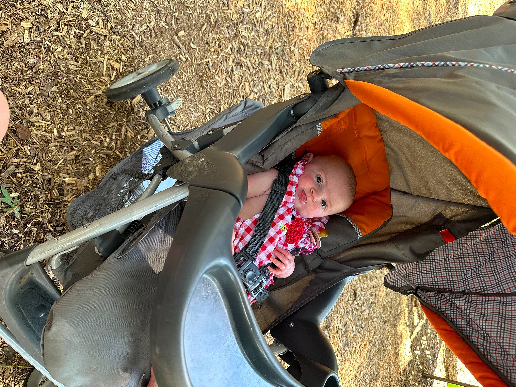 Willow is registered to the contest to win money with this photo: auto_part, automotive_exterior, automotive_tire, automotive_wheel_system, baby, baby_carriage, baby_products, carmine, comfort, fender, grass, leisure, motor_vehicle, person, personal_protective_equipment, recreation, sitting, spoke, toddler, wheel