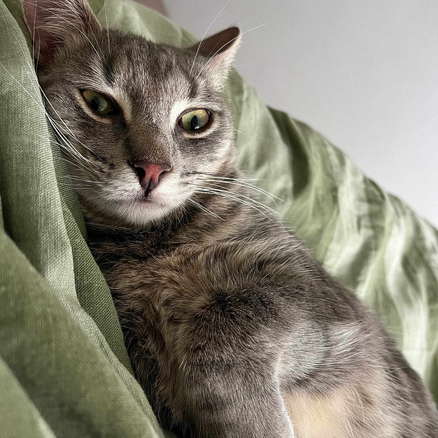 Leo