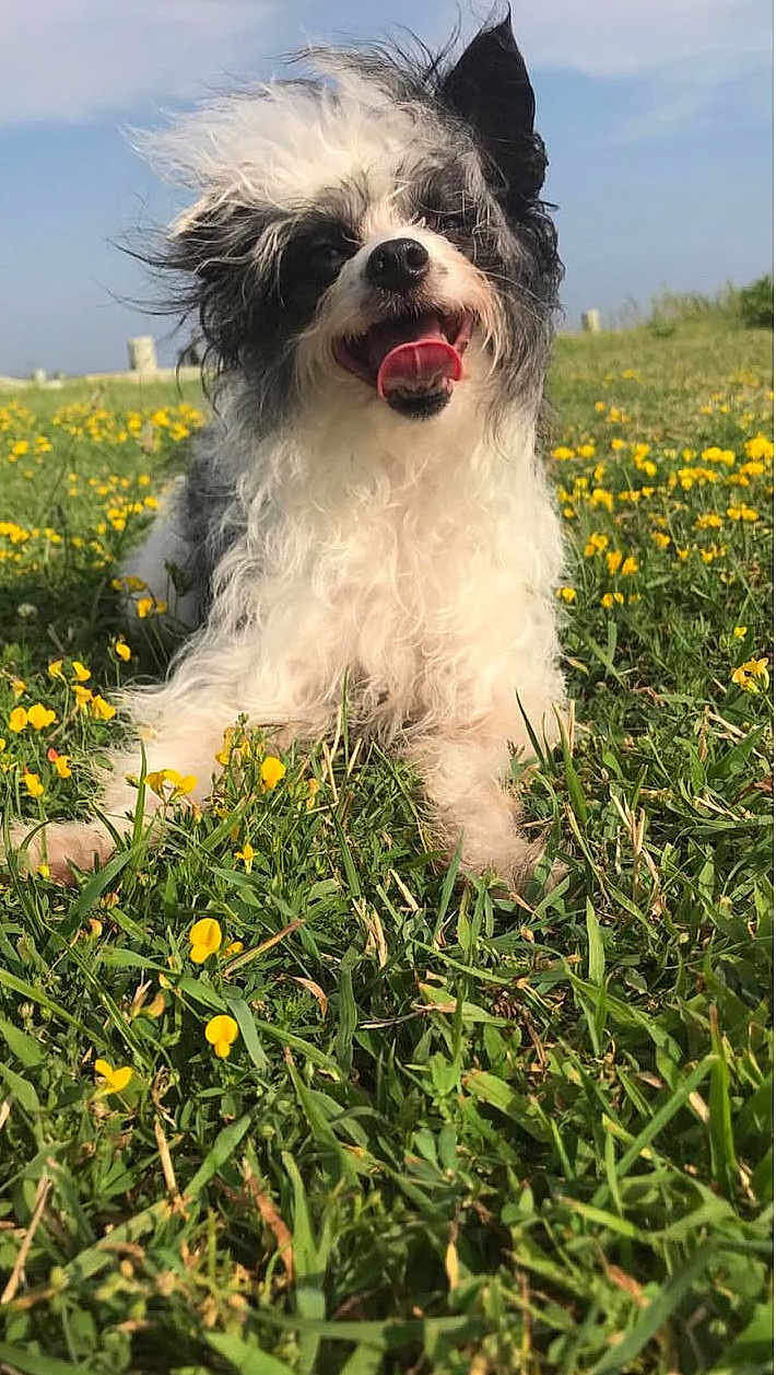 Carly