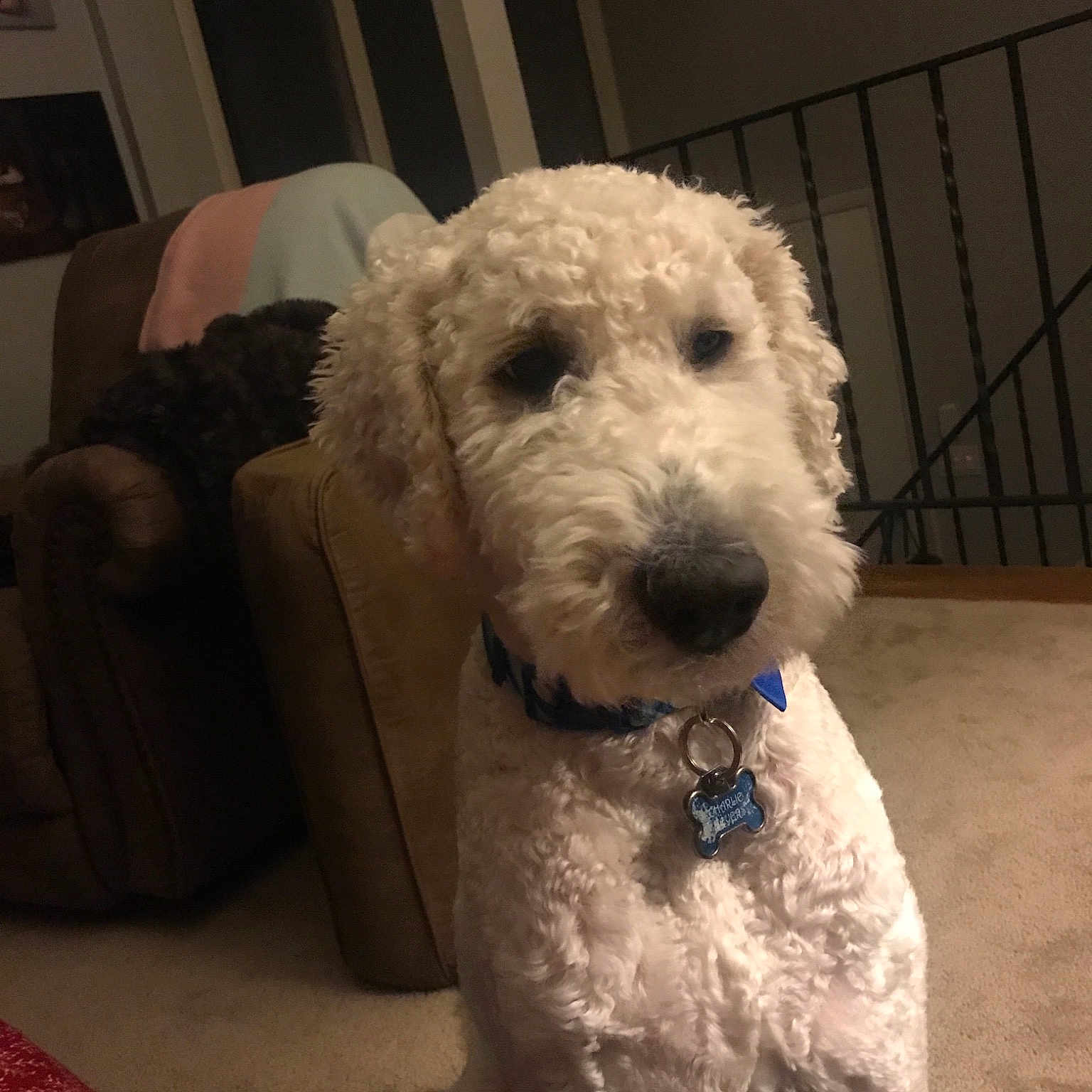 Charlie