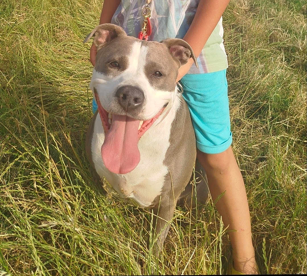 Ruby