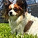 Tucker