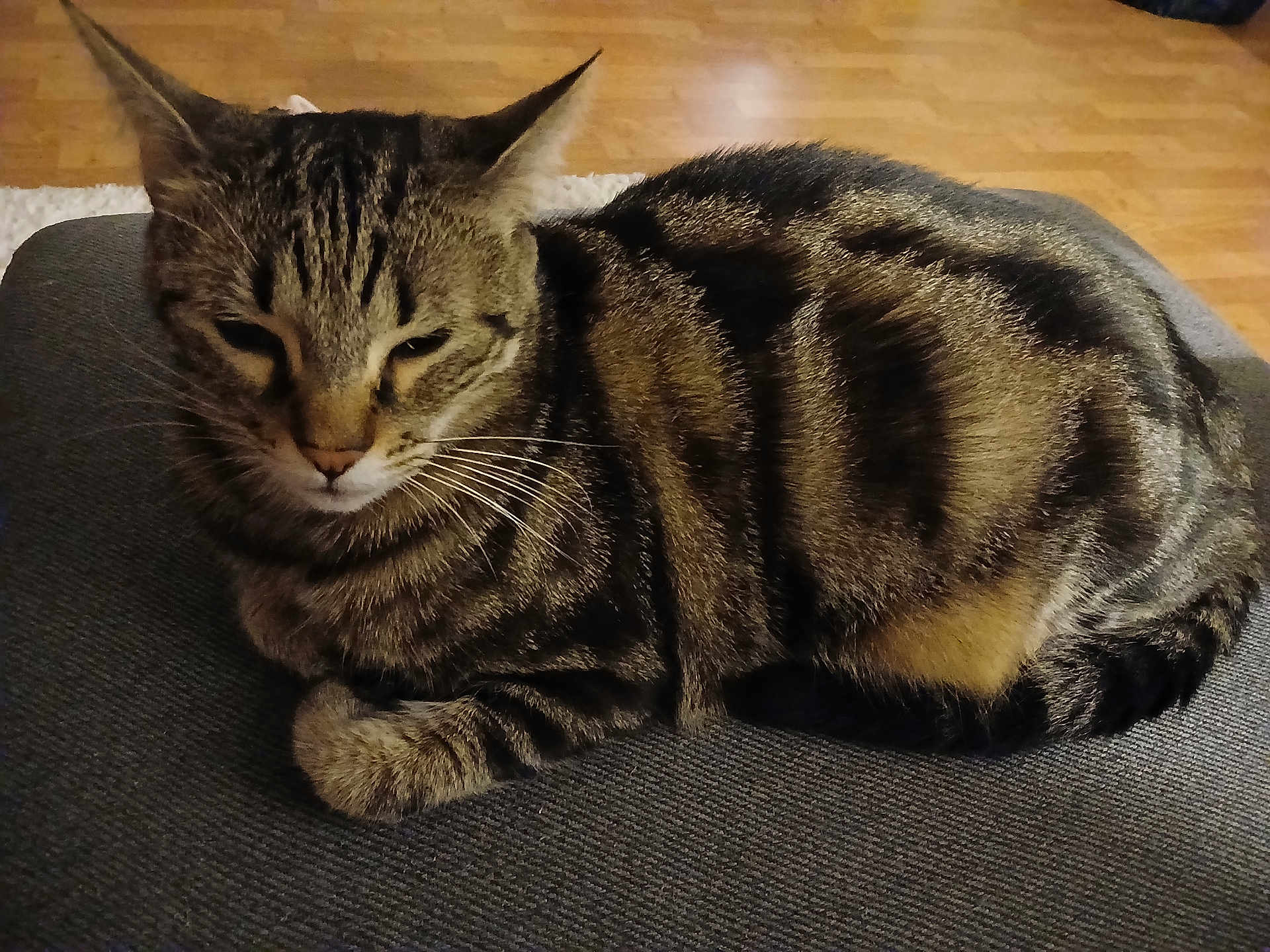 Twix