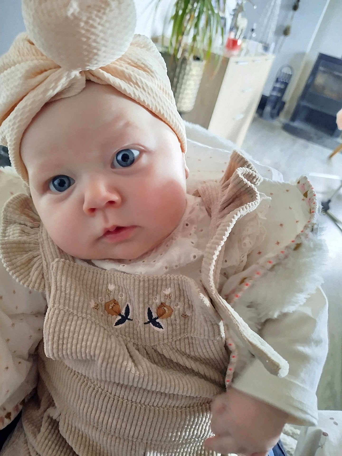 Lou a rejoint le concours — aidez-le/la à gagner de superbes lots ! baby, infant, blue_eyes, chubby_cheeks, headwrap, bow, corduroy_overalls, embroidered_detail, ruffled_collar, coat, blanket, closeup, portrait, indoor, living_room, houseplant, furniture, hand, curious_gaze, cute