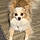 Missdaisy