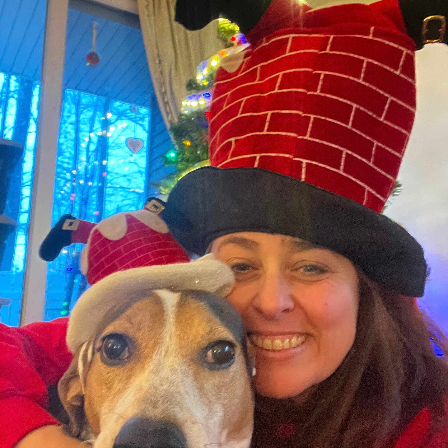 Blue Angel is registered to the contest to win money with this photo: cheerful, christmas_hat, closeup, curtains, decorations, dog, face, festive, funny_hat, holiday, hug, indoor, lights, pet, red_clothing, seasonal, smile, tree, window, woman