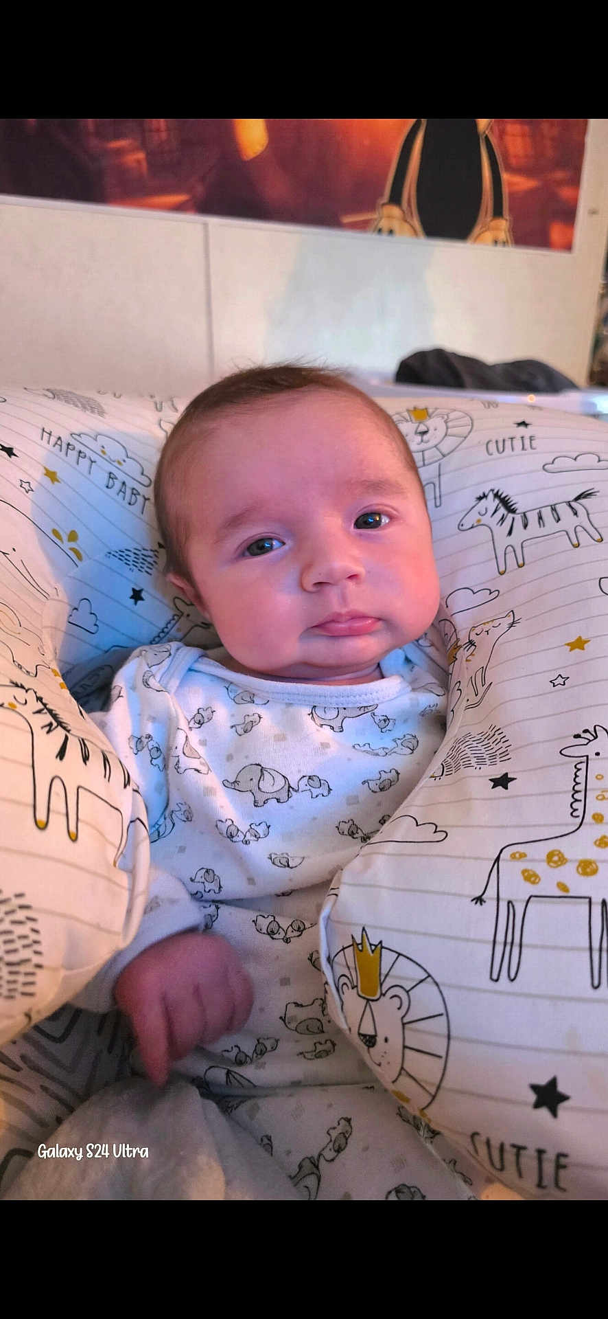Colson is registered to the contest to win money with this photo: baby, infant, face, portrait, blanket, pillow, onesie, animal_print, giraffe, lion, zebra, eyes, hand, bedding, nursery, cute, sleepy, indoor, photography, watermark