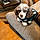 Odie