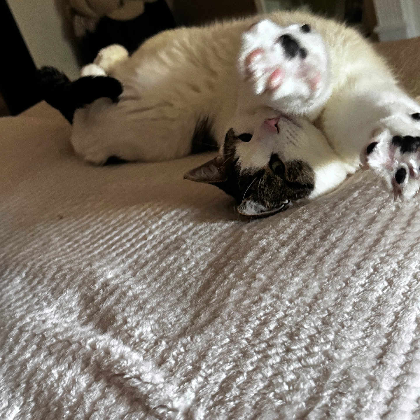 Franklin