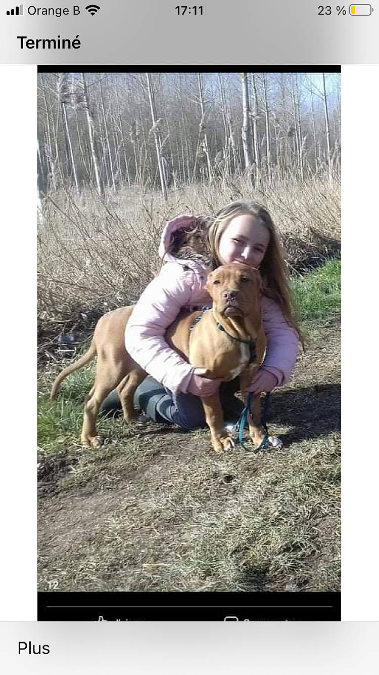 Kenza participe au concours pour gagner de l'argent avec cette photo : adaptation, baby, boot, child, companion_dog, fawn, friendship, fun, grass, happy, leisure, people_in_nature, photo_caption, plant, recreation, sitting, sporting_group, stock_photography, toddler, walking