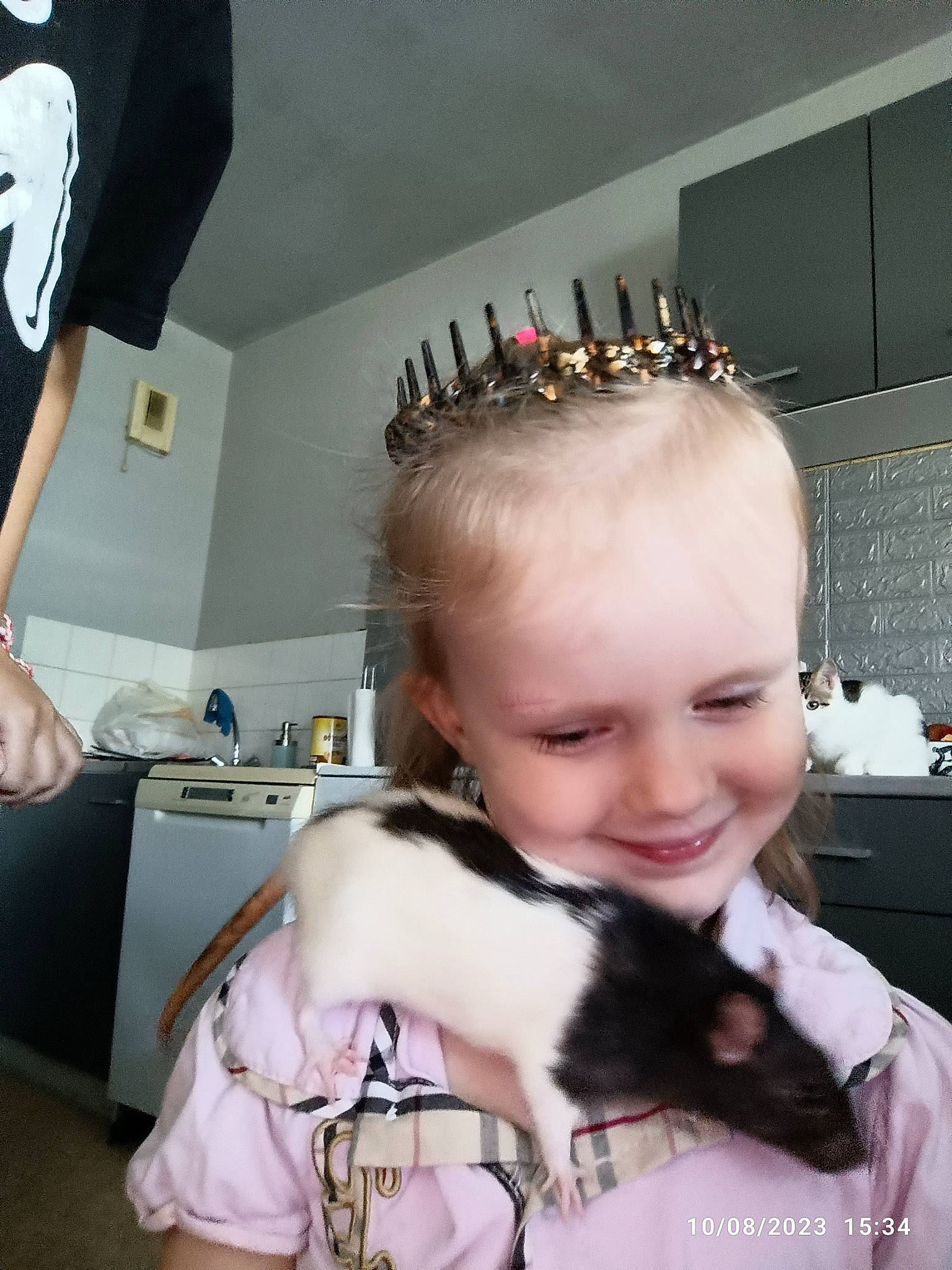 Isabeau a rejoint le concours — aidez-le/la à gagner de superbes lots ! cat, companion_dog, event, eyelash, eyewear, fashion_accessory, felidae, formal_wear, fun, fur, gesture, hair_coloring, hairstyle, happy, headpiece, jewellery, joy, long_hair, person, small_to_medium_sized_cats