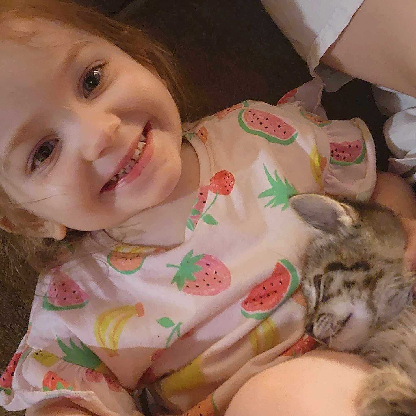 Alayah Raiyn joined the competition — help win amazing prizes! animal, cat, child, clothing, couch, cozy, cute, face, fruit, fur, happy, holding, indoor, kitten, pattern, person, pet, sleeping, smiling, young