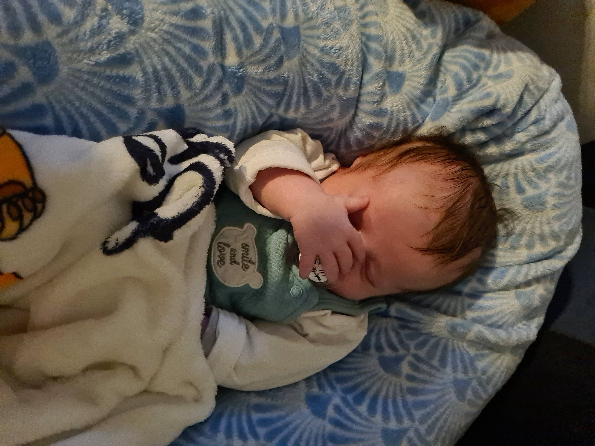 Djulyan participe au concours pour gagner de l'argent avec cette photo : baby, baby_products, baby_sleeping, baby_toddler_clothing, bedtime, cheek, child, comfort, elbow, eye, finger, gesture, head, linens, nap, pattern, person, sitting, skin, sleeve