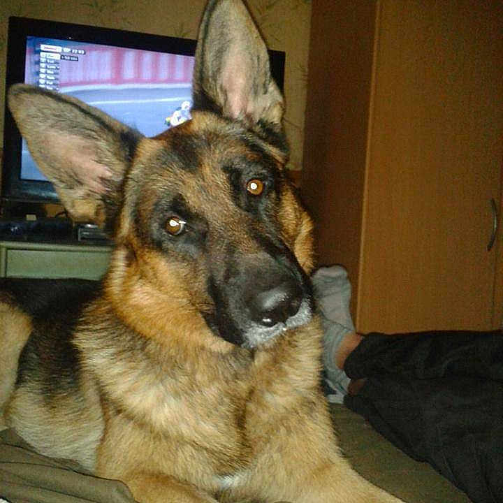 Hasko participe au concours pour gagner de l'argent avec cette photo :