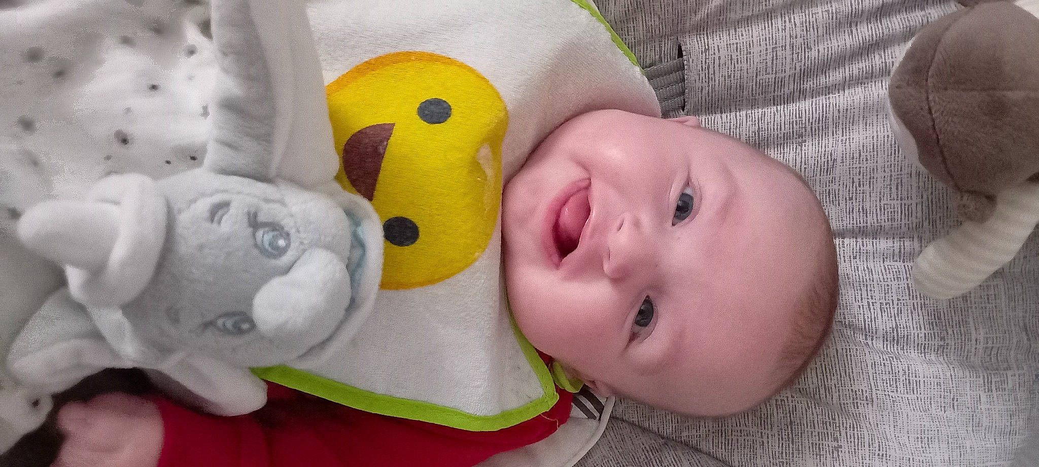 Nèlio participe au concours pour gagner de l'argent avec cette photo : baby, baby_toddler_clothing, cheek, child, comfort, design, ear, eyebrow, eyelash, facial_expression, happy, iris, mouth, nose, person, product, skin, smile, stuffed_toy, toddler