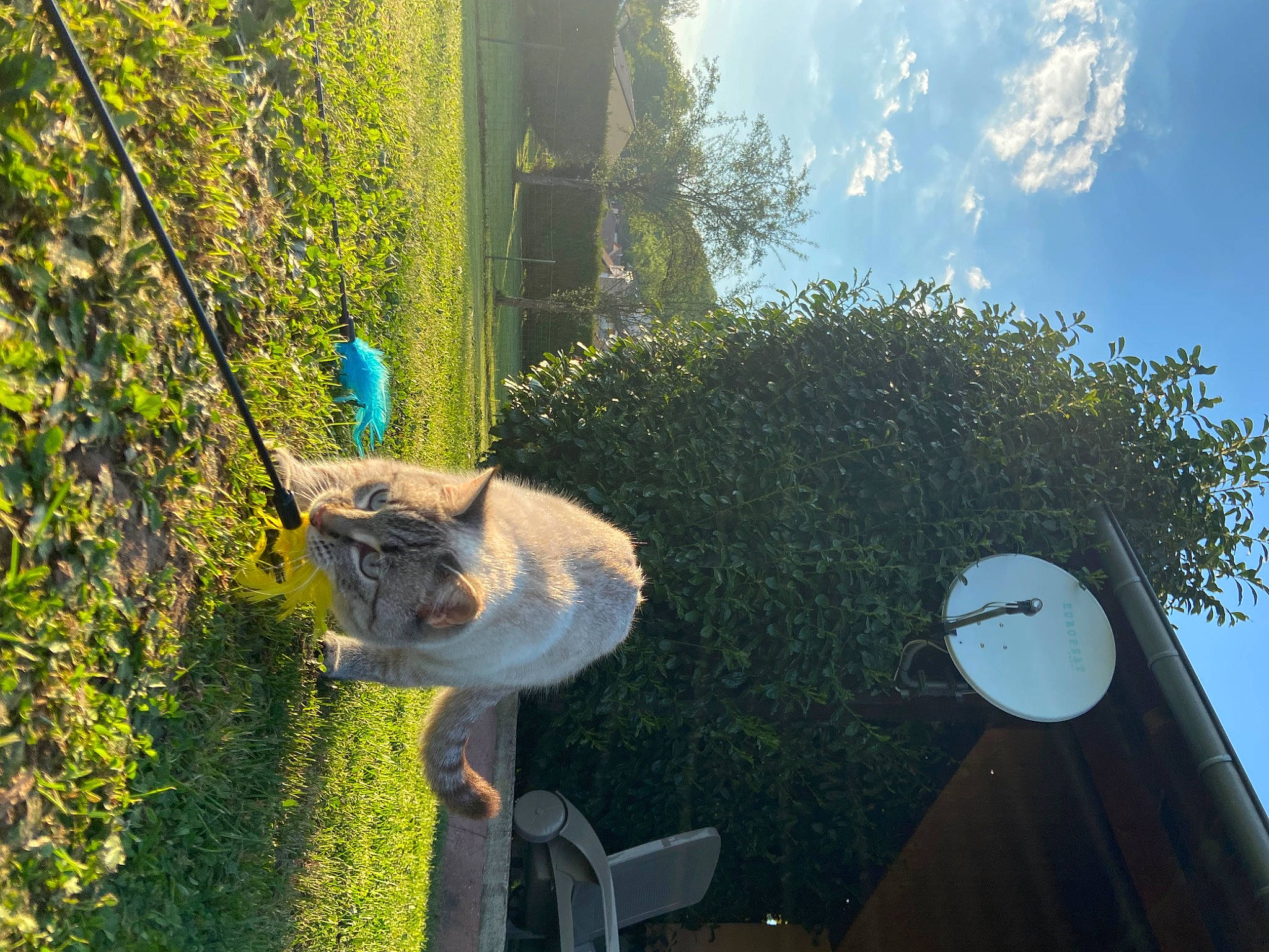 Spike participe au concours pour gagner de l'argent avec cette photo : art, biome, circle, cloud, environmental_art, garden, grass, landscape, lawn_ornament, leisure, plant, reflection, sculpture, shrub, sky, sunlight, tree, trunk, wood, woody_plant