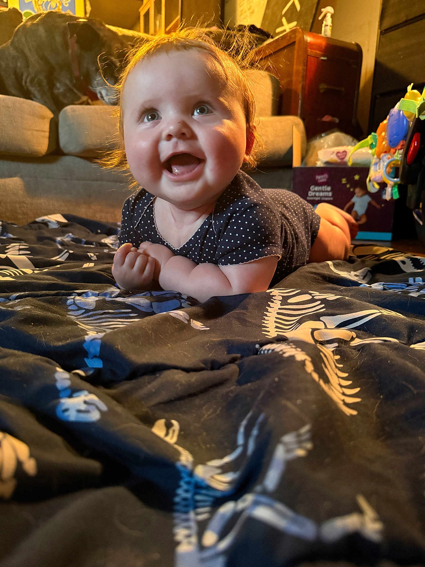 Nikkyta joined the competition — help win amazing prizes! baby, smiling, indoor, blanket, dinosaur_pattern, couch, dog, toy, furniture, child, happy, cute, portrait, infant, living_room, clothing, person, face, colorful, home