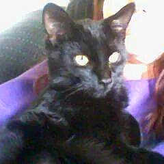 Jax