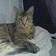 Nala is registered to the contest to win money with this photo: