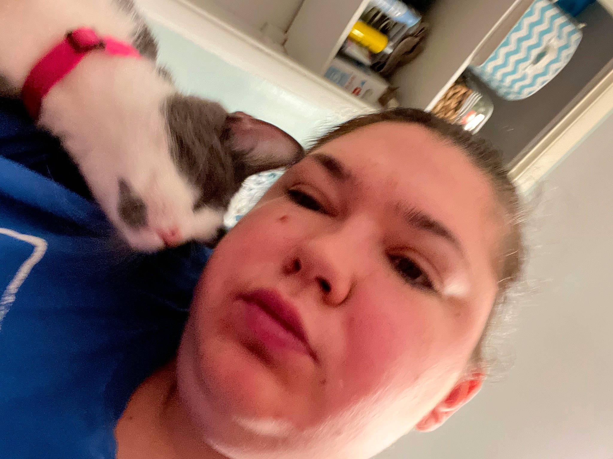 Khloe joined the competition — help win amazing prizes! beard, carnivore, cat, comfort, companion_dog, ear, eyebrow, eyelash, facial_hair, felidae, finger, gesture, happy, jaw, mouth, neck, nose, selfie, small_to_medium_sized_cats, whiskers